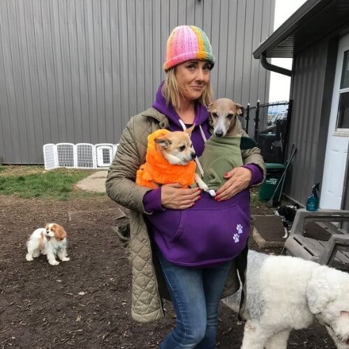 Basic Dog Training Commands - Muskoka Pooch