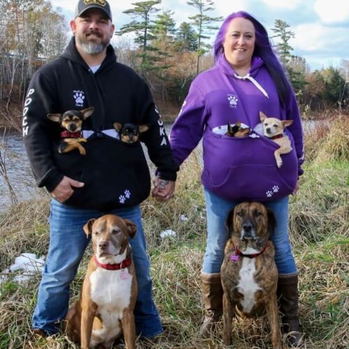 The Best Dog Treats for Every Occasion - Muskoka Pooch