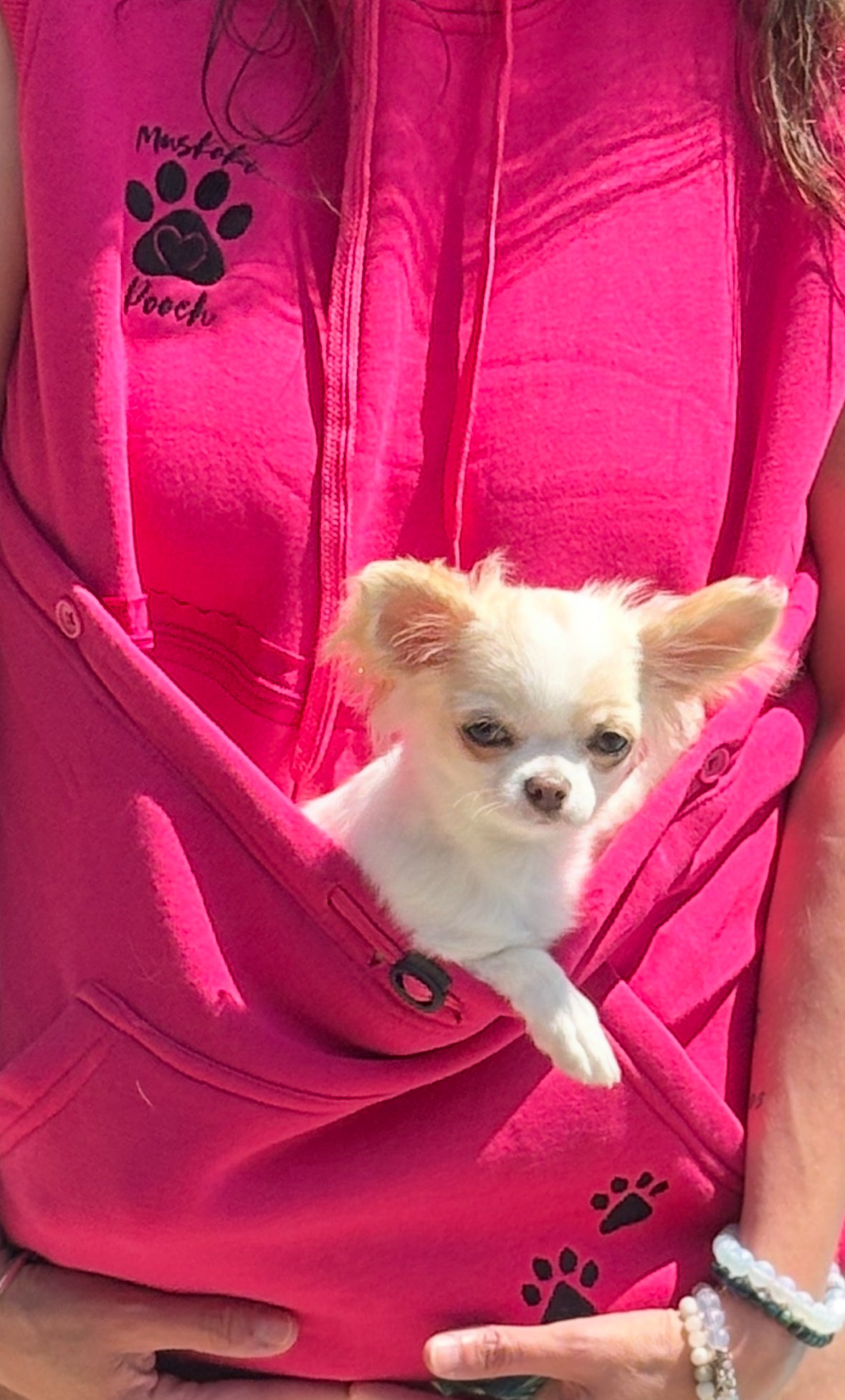 Small dog in a pink pouch with paw prints, held by a person.