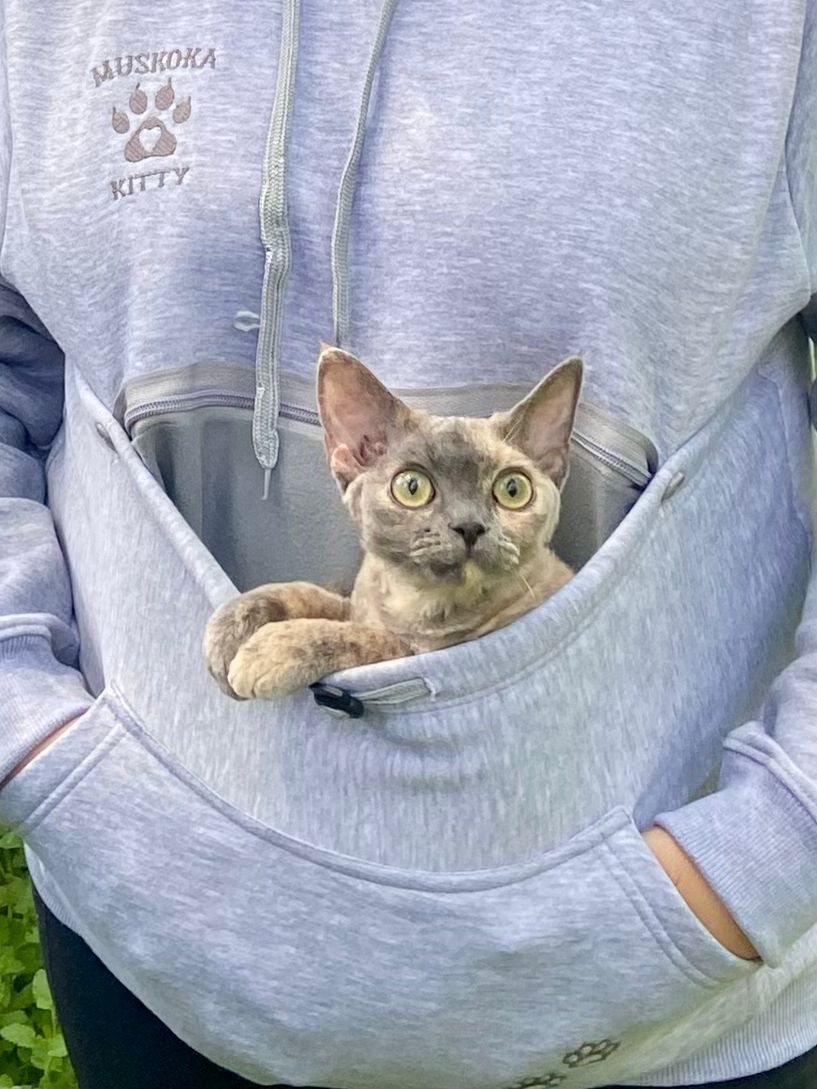 Cat holding hoodie online